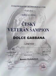 VETERAN sampion
